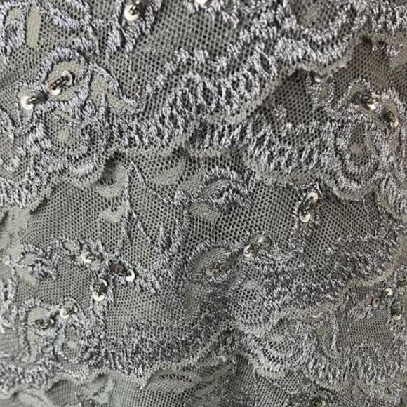 Blu Sage Medium Gray Lace Cocktail Evening Dress With Sequins Size 12 EUC - Picture 7 of 10